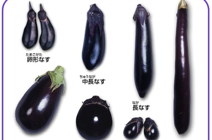nasu