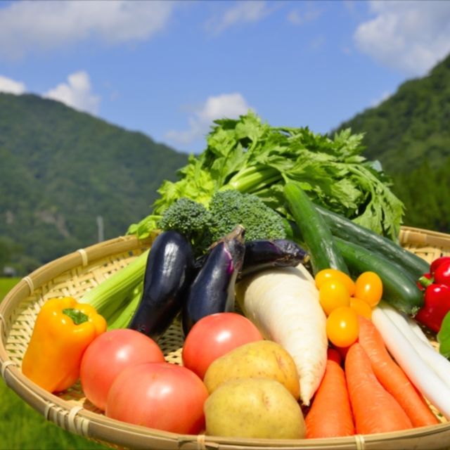 野菜と自然